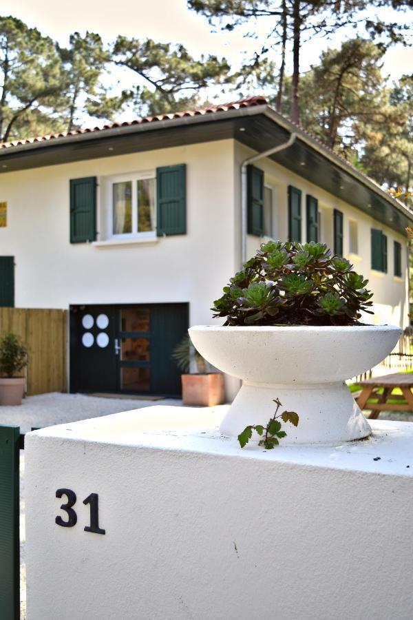 Julia Blue, Villa Hostal Naou Hossegor - Sauna - Salle De Sport - Wifi - Netflix Soorts-Hossegor Buitenkant foto